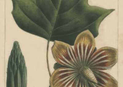 WINNER: Best Magazine Writing